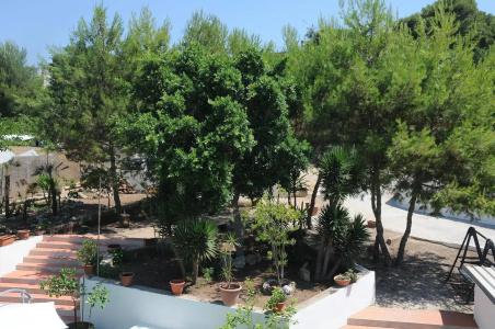 The Garden - 11