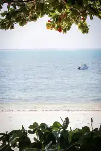 Michamvi Sunset Bay - 87