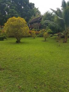 Phanom Bencha Mountain Resort - 10