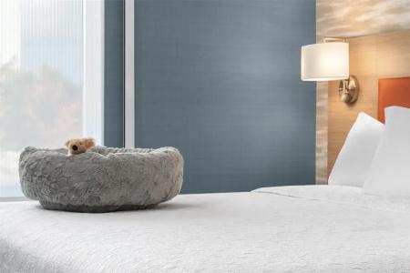 DoubleTree by Hilton - 19