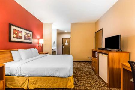 Quality Inn & Suites Chesterfield Village - 21