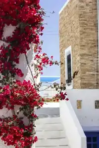 Naxos Holidays - 22