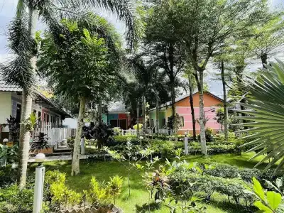 Orange Resort - 45