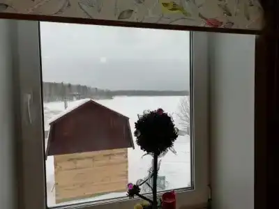 Стрекоза - 16