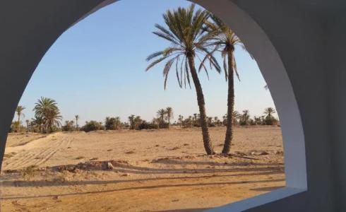 Dar Chick Yahia Ile De Djerba - 29