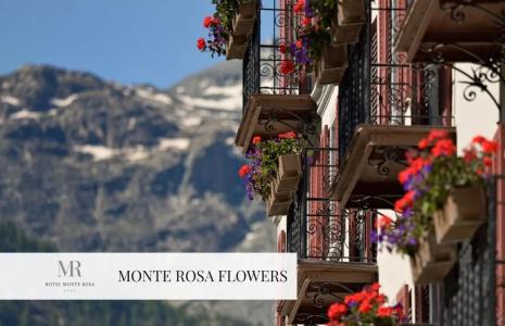 Monte Rosa Boutique - 17