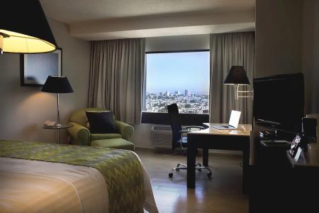 Holiday Inn Puebla La Noria, An Ihg - 84