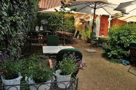 Zur Linde - 13