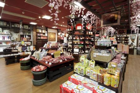 Hikone Castle & Spa - 7