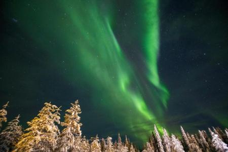 Northern Lights Village Levi - 29