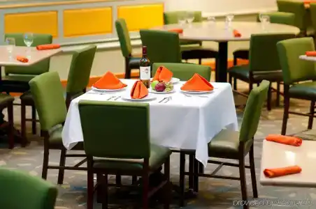 Holiday Inn Houston s - Nrg Area - Med Ctr, An Ihg - 16