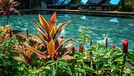 Vihara Residence - 68