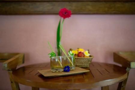 Ubud Aura Retreat - 8