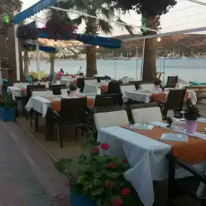 Bitez Deniz - 18