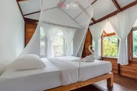 Jungle Koh - 30