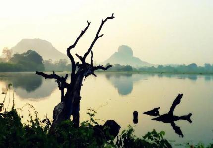 Sigiriya Rock Gate Resort - 23