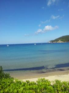 Del Golfo - 14