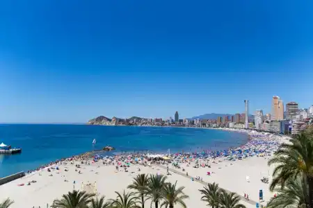 Colón - 12
