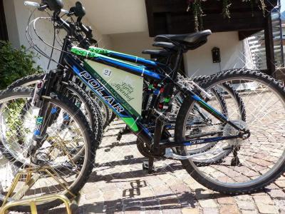 Tyrol-Alpenhof - 7