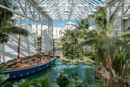 Gaylord Palms Resort & Convention Center - 59