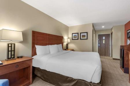 Comfort Inn Civic Center - 38