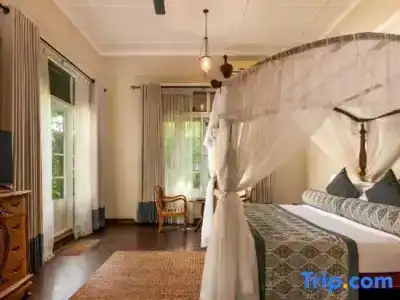 Castle Hill Bungalow - 67