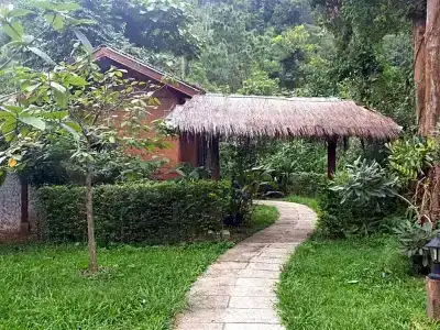 Chiang Dao Hut - 121