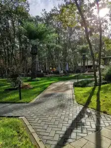 Utopia Forest - 39