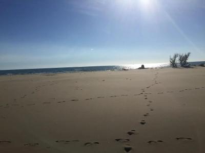 Le Mas de Cocagne - 12