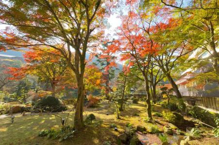 Yoshiike Ryokan - 42