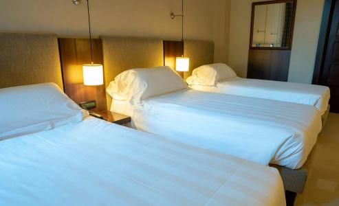 Th Roma - Carpegna Palace - 36