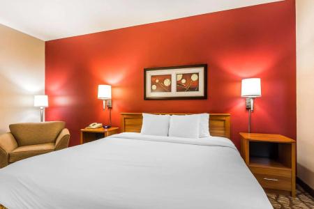 Quality Inn & Suites Chesterfield Village - 15