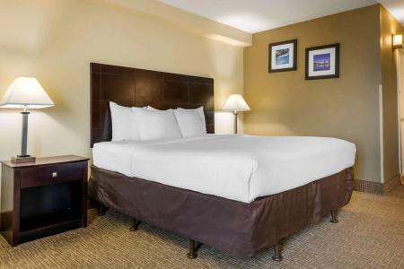 Comfort Inn International Drive - 44