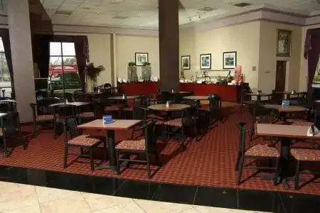 Orlando Palms - 28