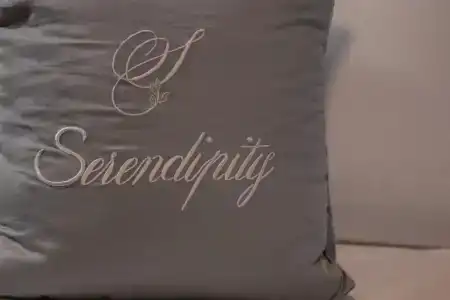 Serendipity B&B - 0