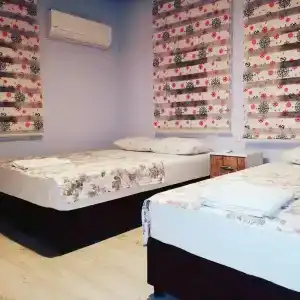 denizyıldızı - 5
