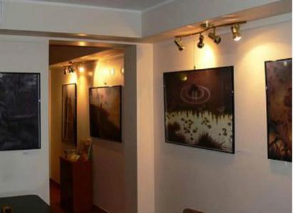 Artis - 15