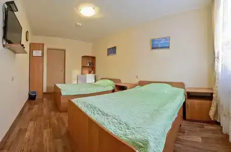 Подсолнухи - 3