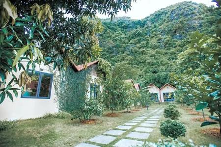 Trang An Retreat - 77