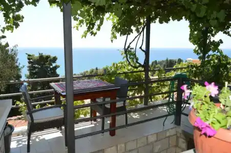 Amina - 0