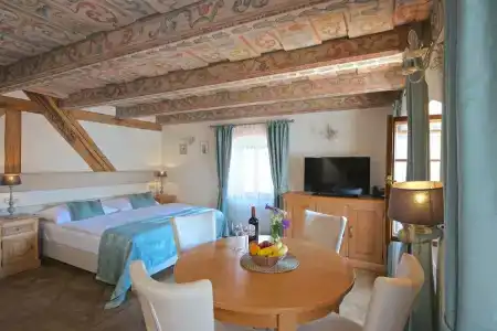 Residence U Mecenáše - 205