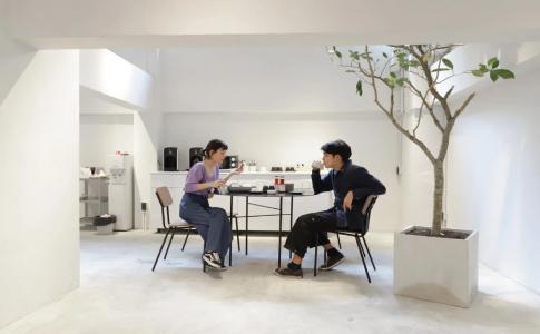 Chocolate box mint - 12