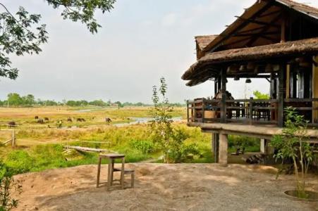 Sapana Village - 85