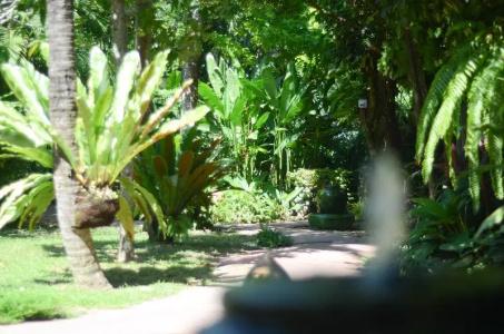 Samui Sense Beach Resort - 70