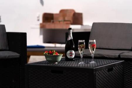 Petri Suites - 132