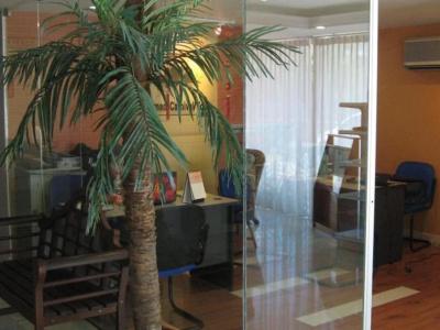 Casuarina - 11