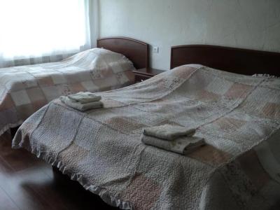 EcoRest - Likani Palace - 51