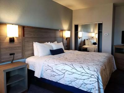 Best Western Plus San Antonio East Inn & Suites - 70