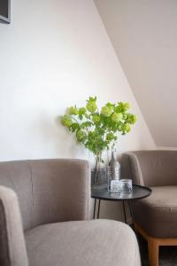 Boutique Texel - 56