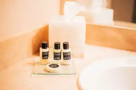The Remington Suite and Spa - 45